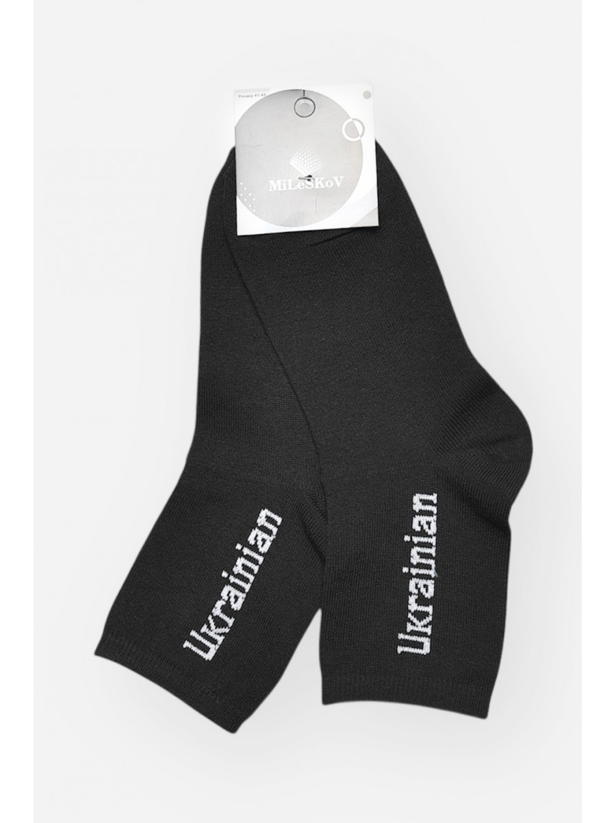 Носки мужские демисезонные черного цвета L189 209865C