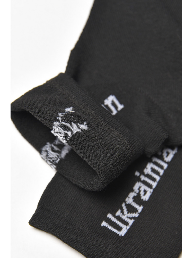 Носки мужские демисезонные черного цвета L189 209865C