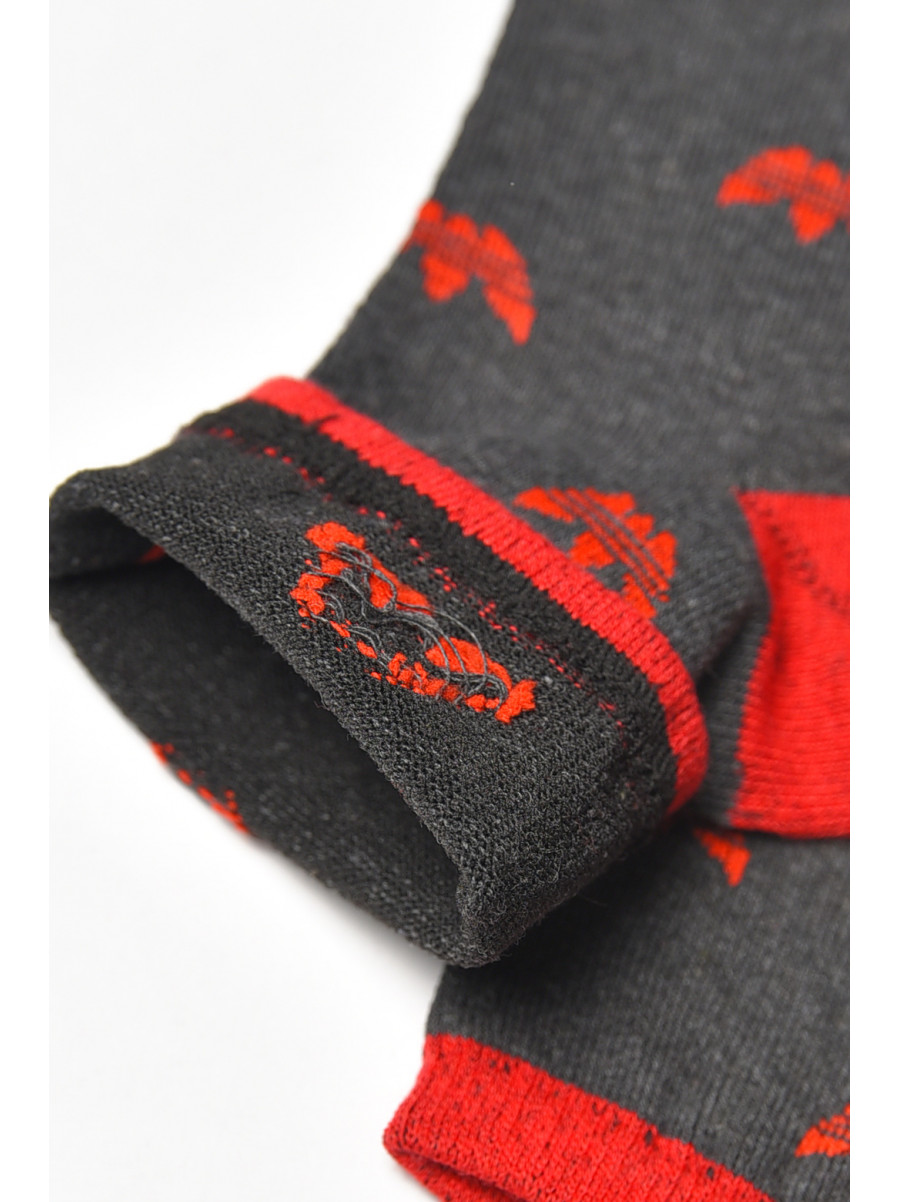 Шкарпетки жіночі демісезонні темно-сірого кольору L104K 209870C