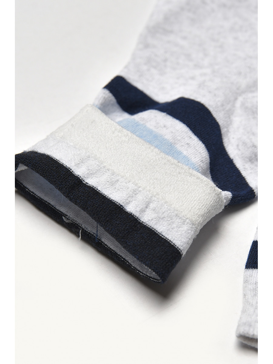 Носки женские демисезонные серого цвета L-810 209872C