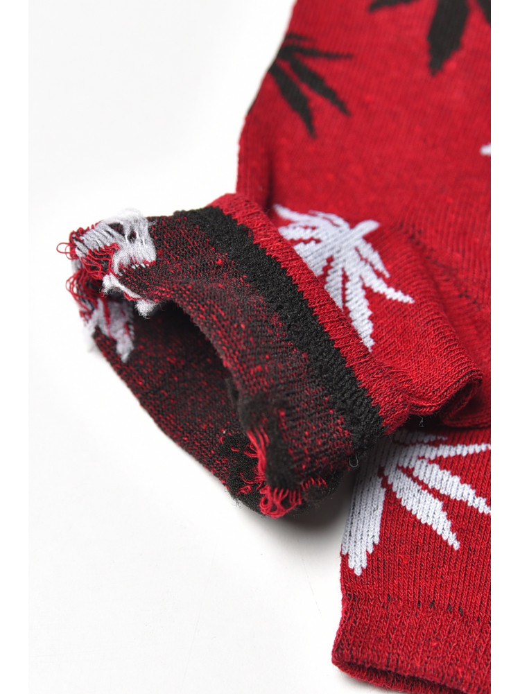 Носки женские демисезонные бордового цвета L168 209877C