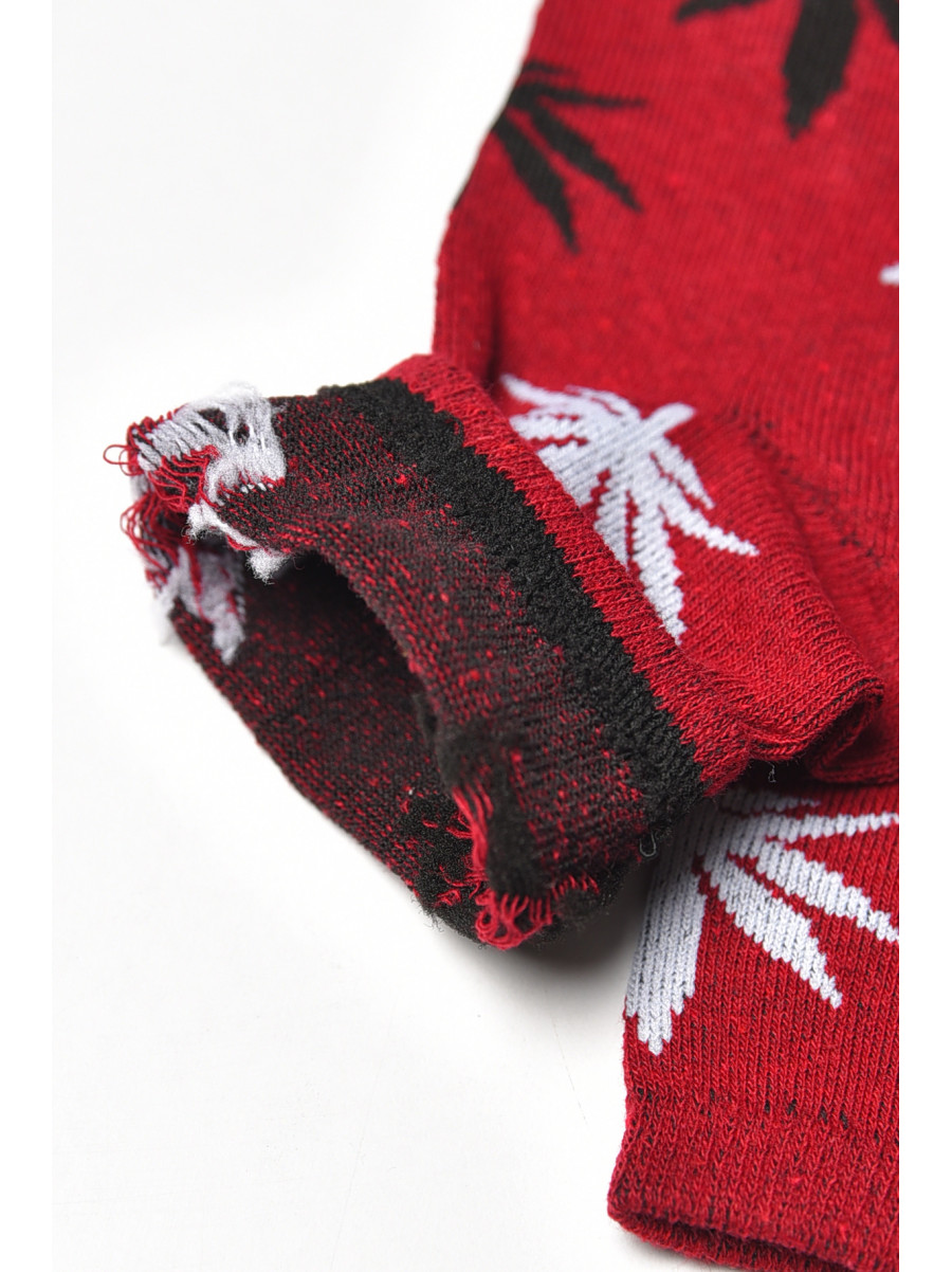 Носки женские демисезонные бордового цвета L168 209877C