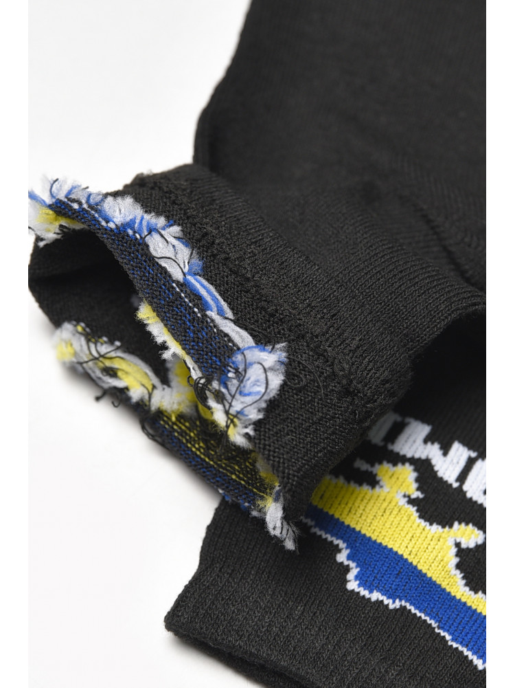 Носки женские демисезонные черного цвета L188-2 209883C