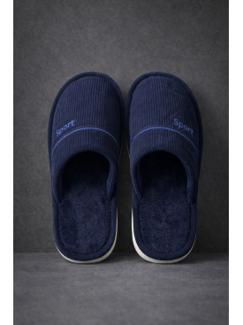 Тапочки комнатные мужские синего цвета D387 209990C