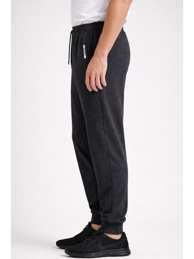 Спортивные штаны мужские тёмно-серого цвета 1403-5 210061C