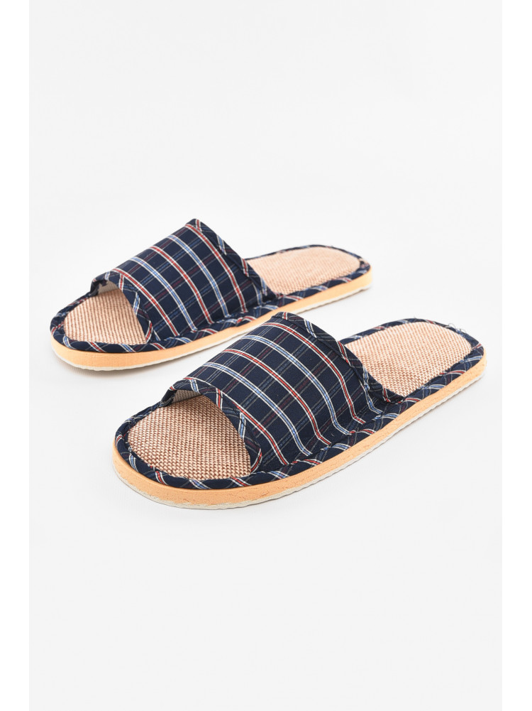 Тапочки комнатные мужские синего цвета 210305C