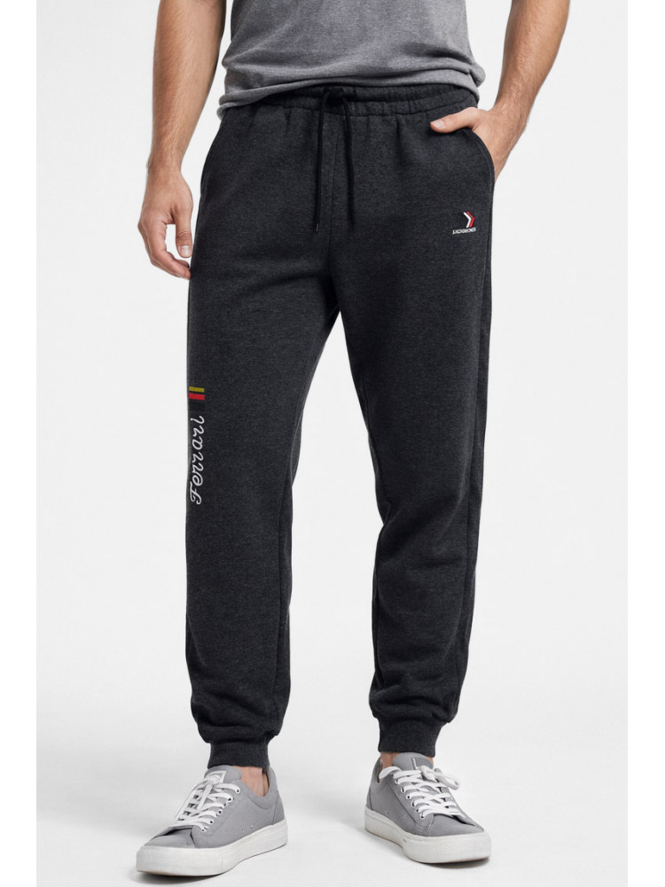 Спортивні штани чоловічі на флісі темно-сірого кольору CS-2203 210375C