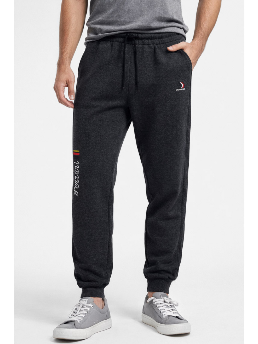 Спортивні штани чоловічі на флісі темно-сірого кольору CS-2203 210375C