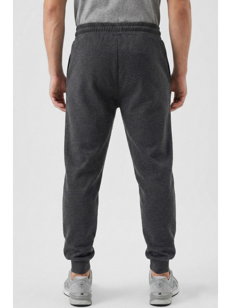 Спортивні штани чоловічі на флісі темно-сірого кольору CS-2203 210375C