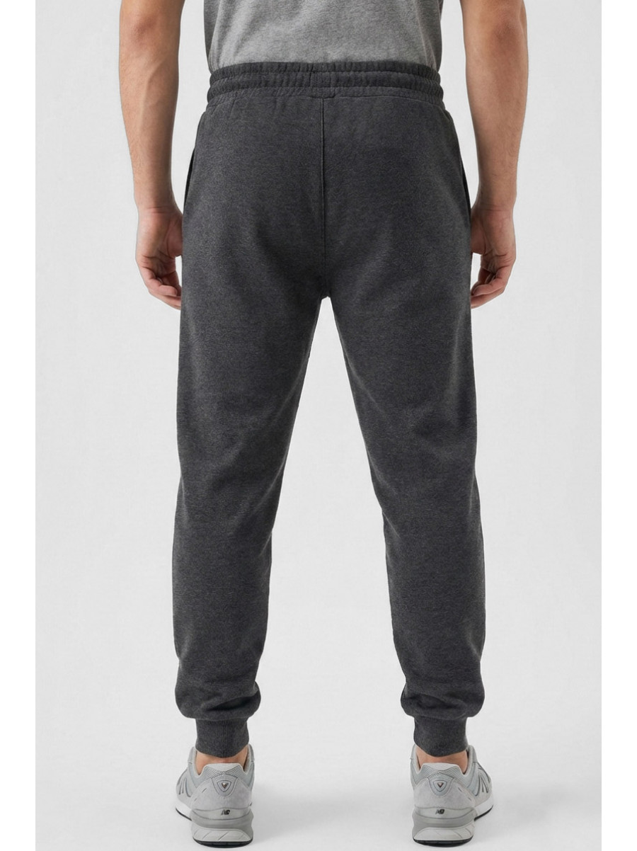 Спортивні штани чоловічі на флісі темно-сірого кольору CS-2203 210375C