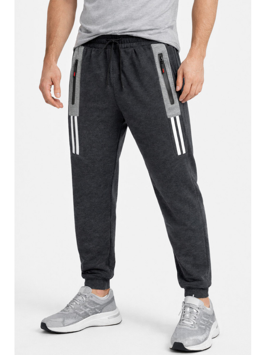 Спортивні штани чоловічі на флісі темно-сірого кольору CS-405 210376C