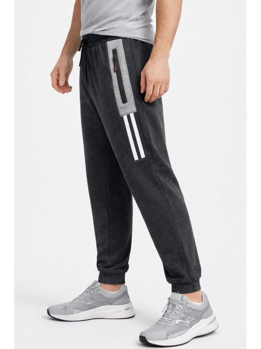 Спортивні штани чоловічі на флісі темно-сірого кольору CS-405 210376C