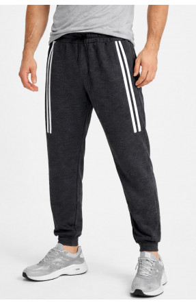 Спортивні штани чоловічі на флісі темно-сірого кольору CS-402 210378C