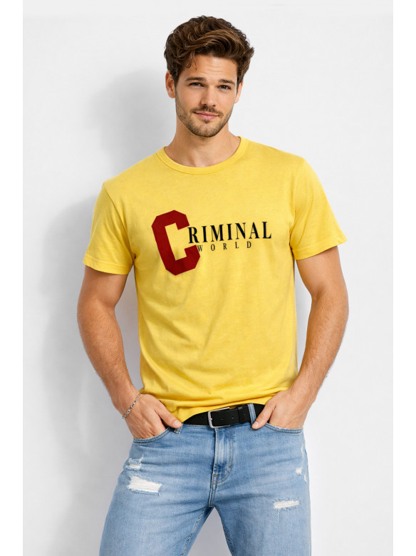 Футболка мужская желтого цвета с принтом 210401C