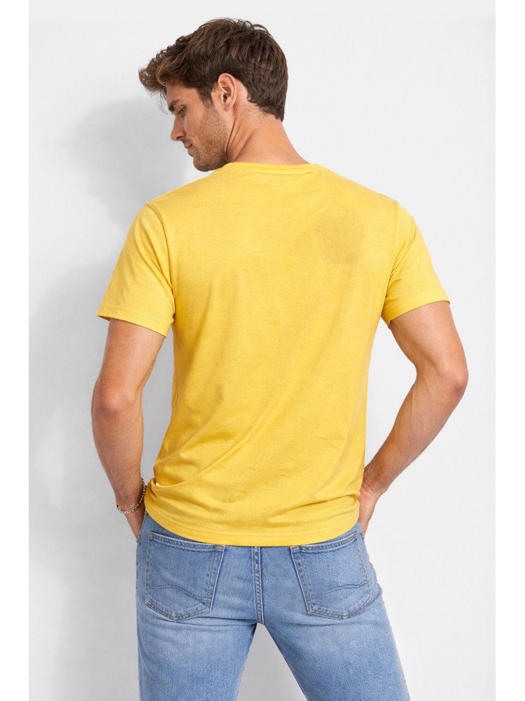 Футболка мужская желтого цвета с принтом 210401C