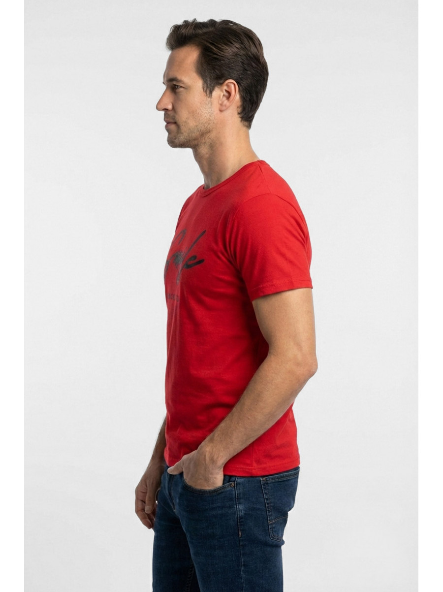 Футболка мужская красного цвета с принтом 210402C