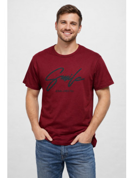 Футболка мужская бордового цвета с принтом 210403C