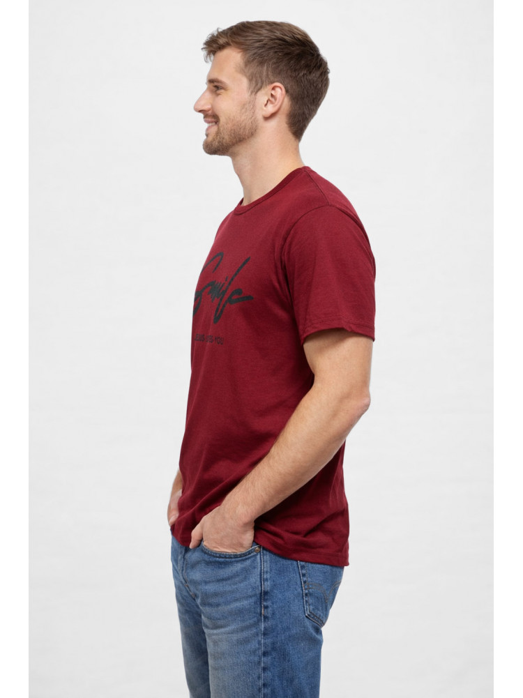 Футболка мужская бордового цвета с принтом 210403C