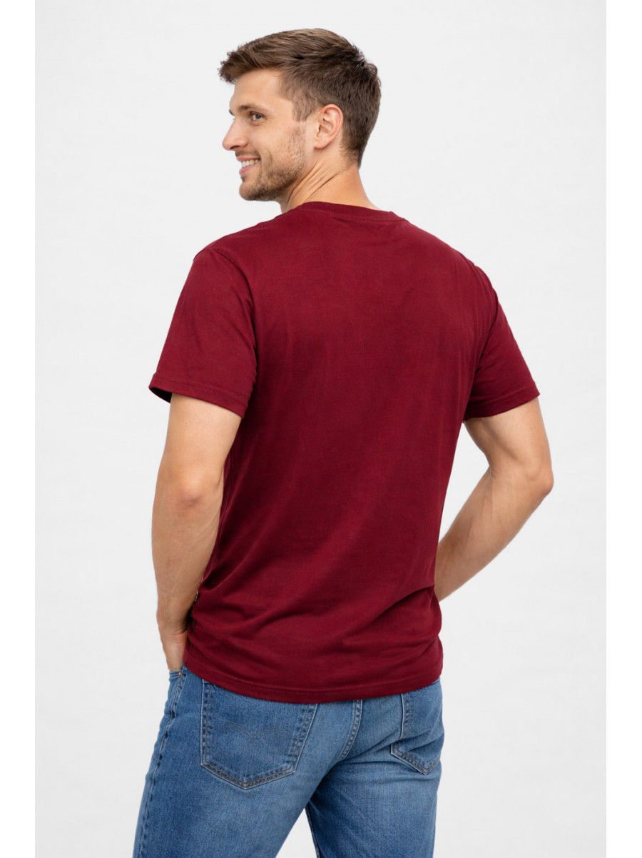Футболка мужская бордового цвета с принтом 210403C