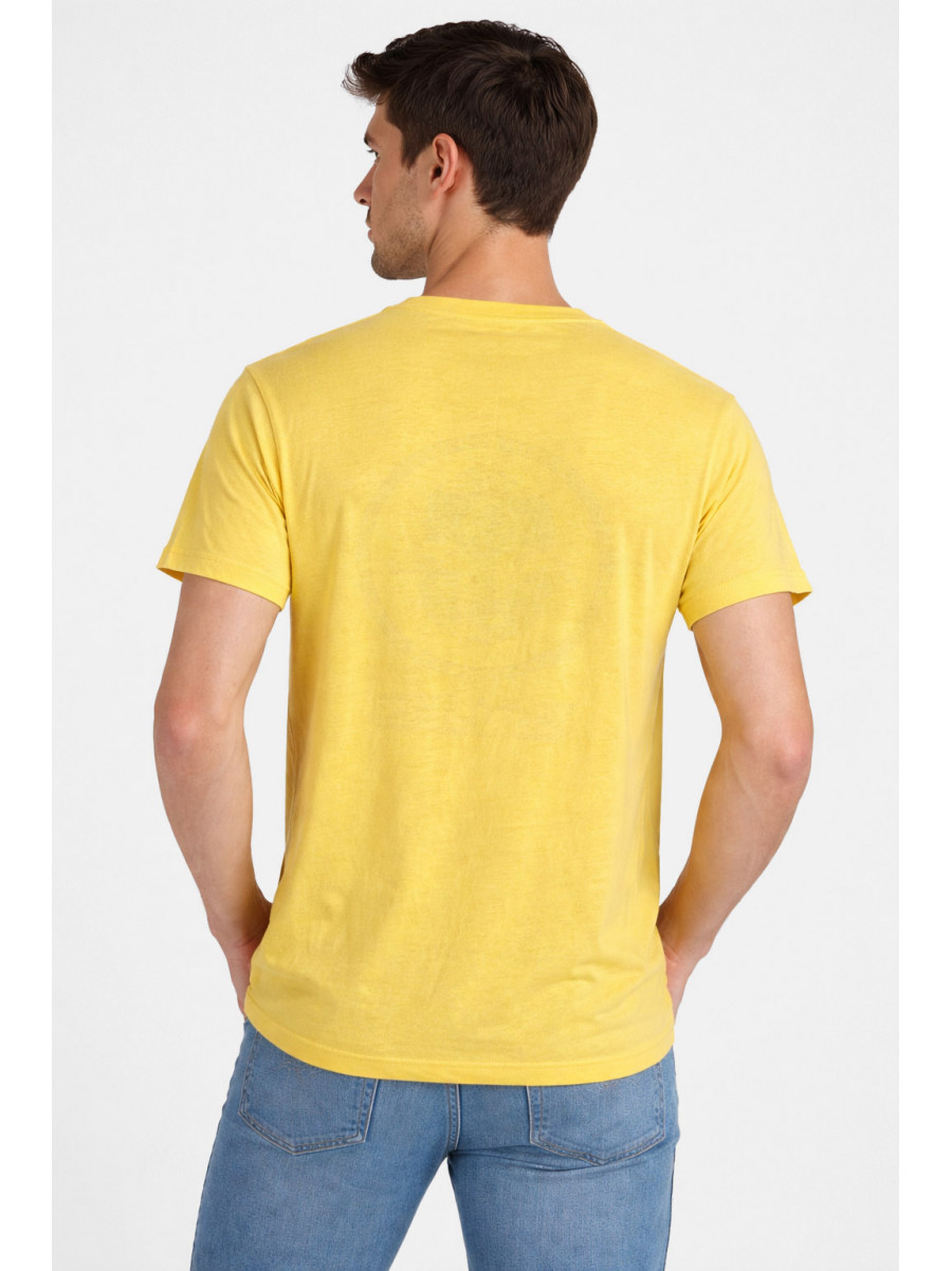 Футболка мужская желтого цвета с принтом 210404C