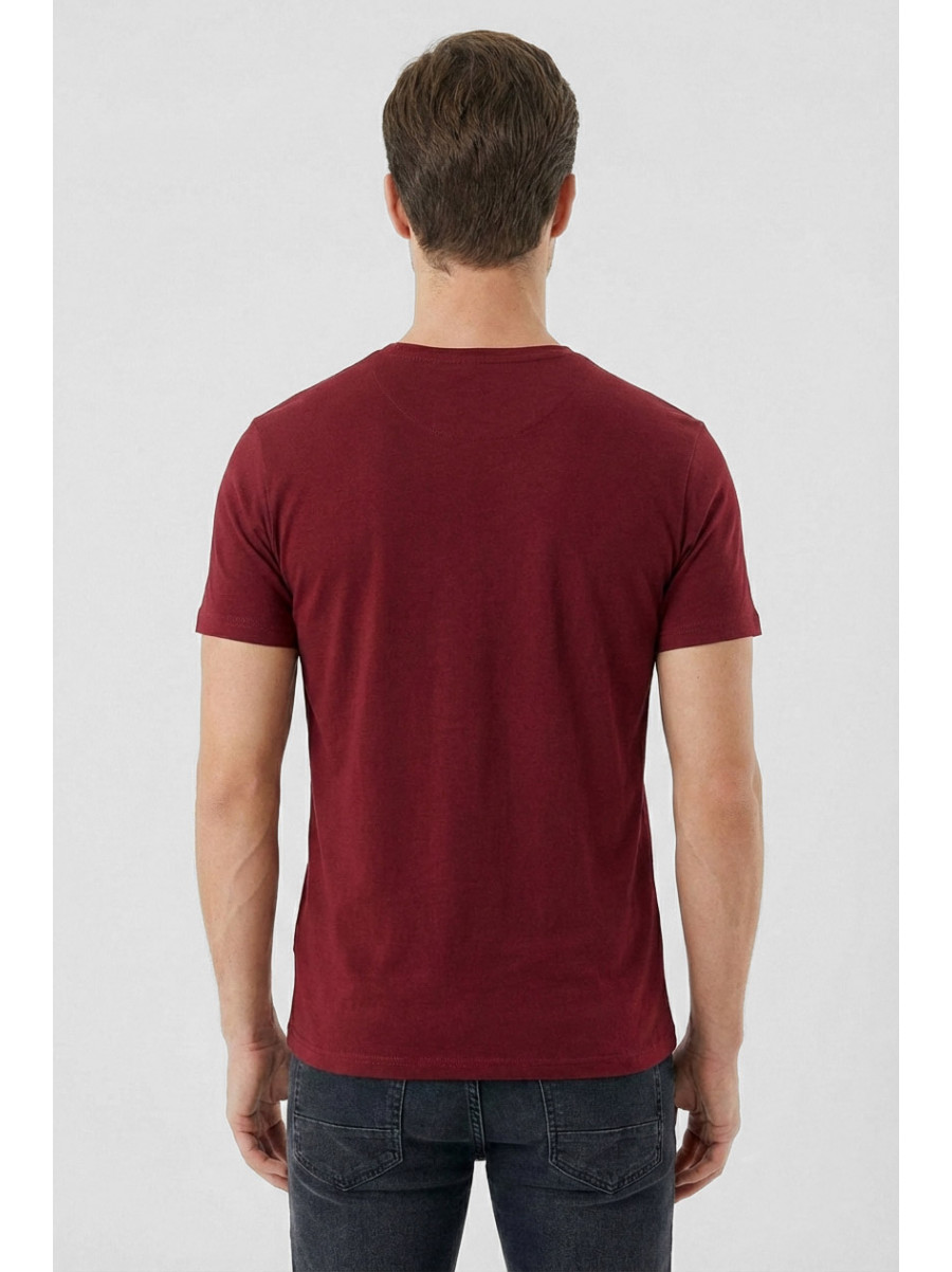 Футболка мужская бордового цвета с принтом 210405C