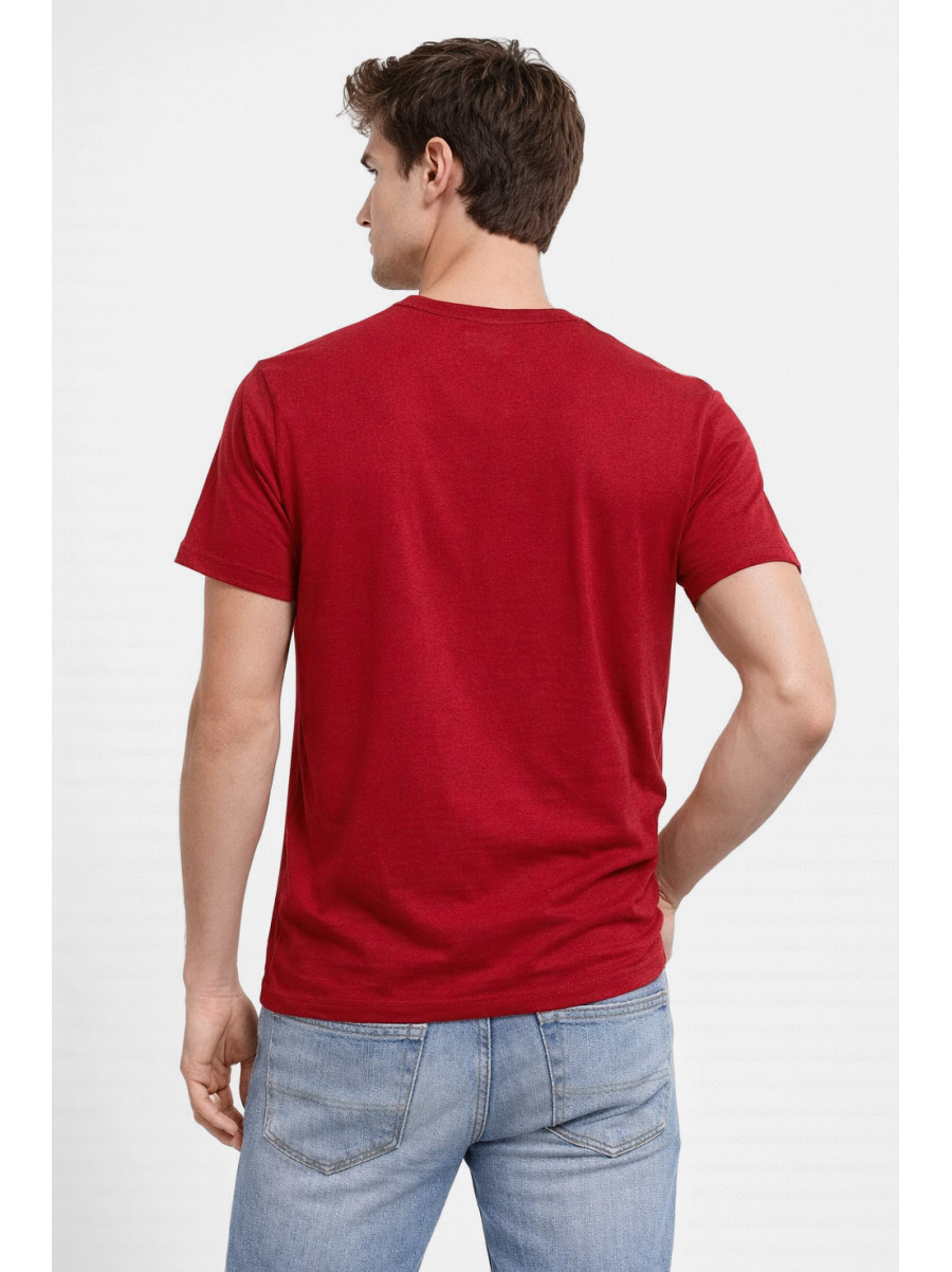 Футболка мужская красного цвета с принтом 210406C