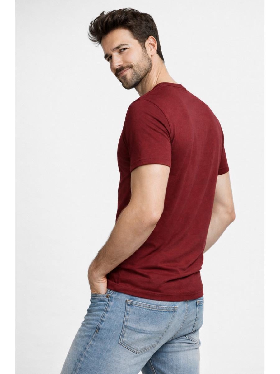 Футболка мужская бордового цвета с принтом 210407C
