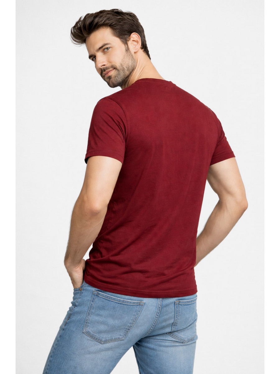 Футболка мужская бордового цвета с принтом 210407C
