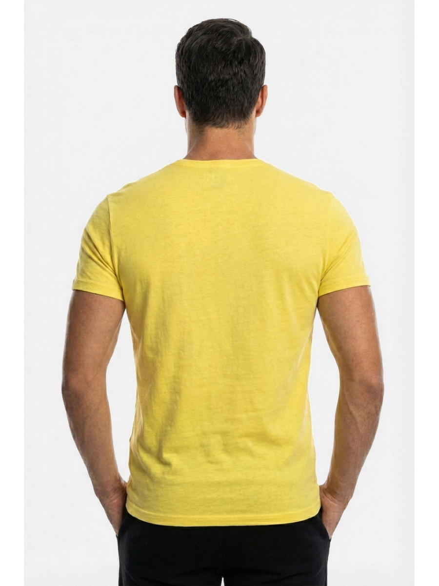 Футболка мужская желтого цвета с принтом 210409C