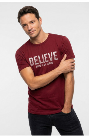 Футболка мужская бордового цвета с принтом 210411C