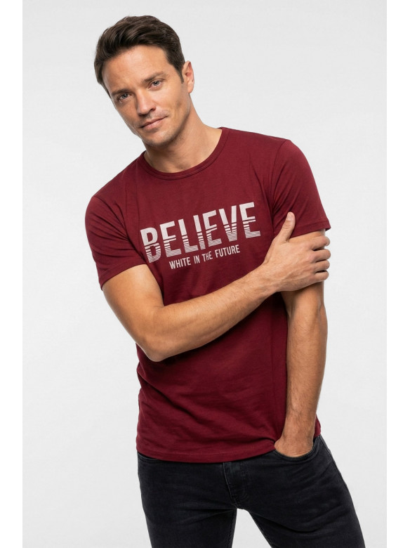 Футболка мужская бордового цвета с принтом 210411C