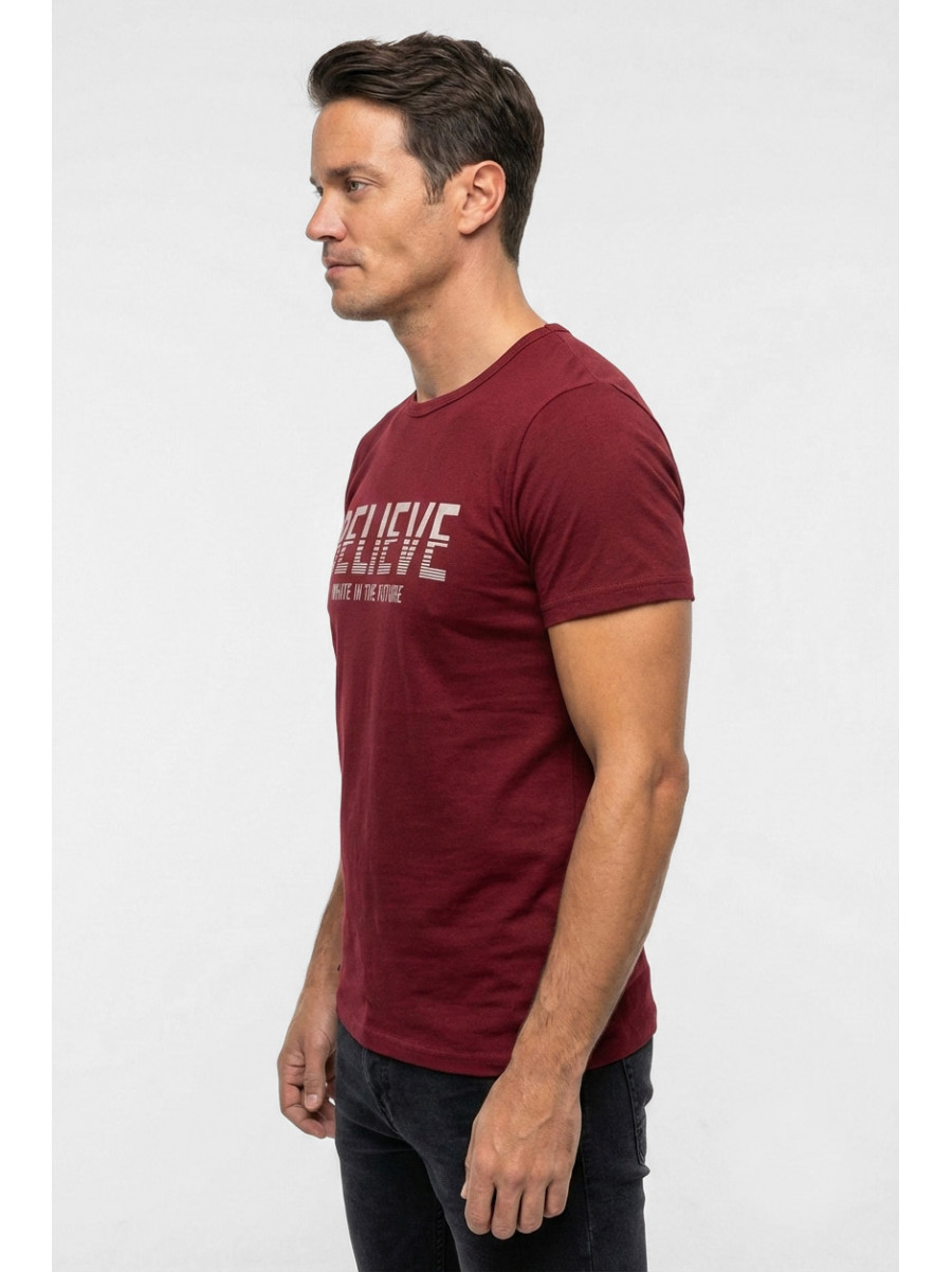 Футболка мужская бордового цвета с принтом 210411C