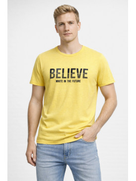 Футболка мужская желтого цвета с принтом 210412C