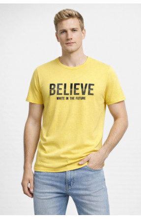 Футболка мужская желтого цвета с принтом 210412C