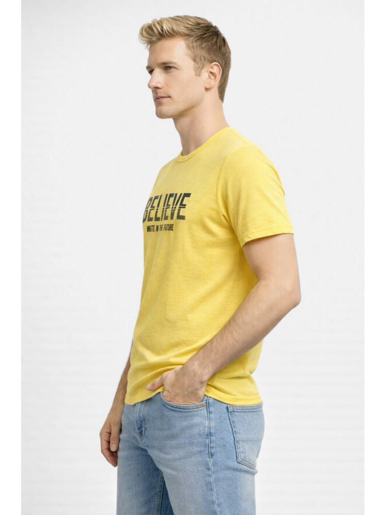Футболка мужская желтого цвета с принтом 210412C