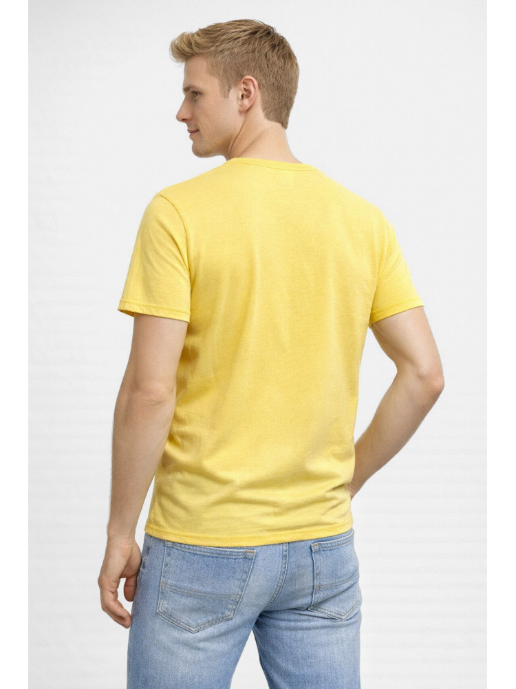 Футболка мужская желтого цвета с принтом 210412C