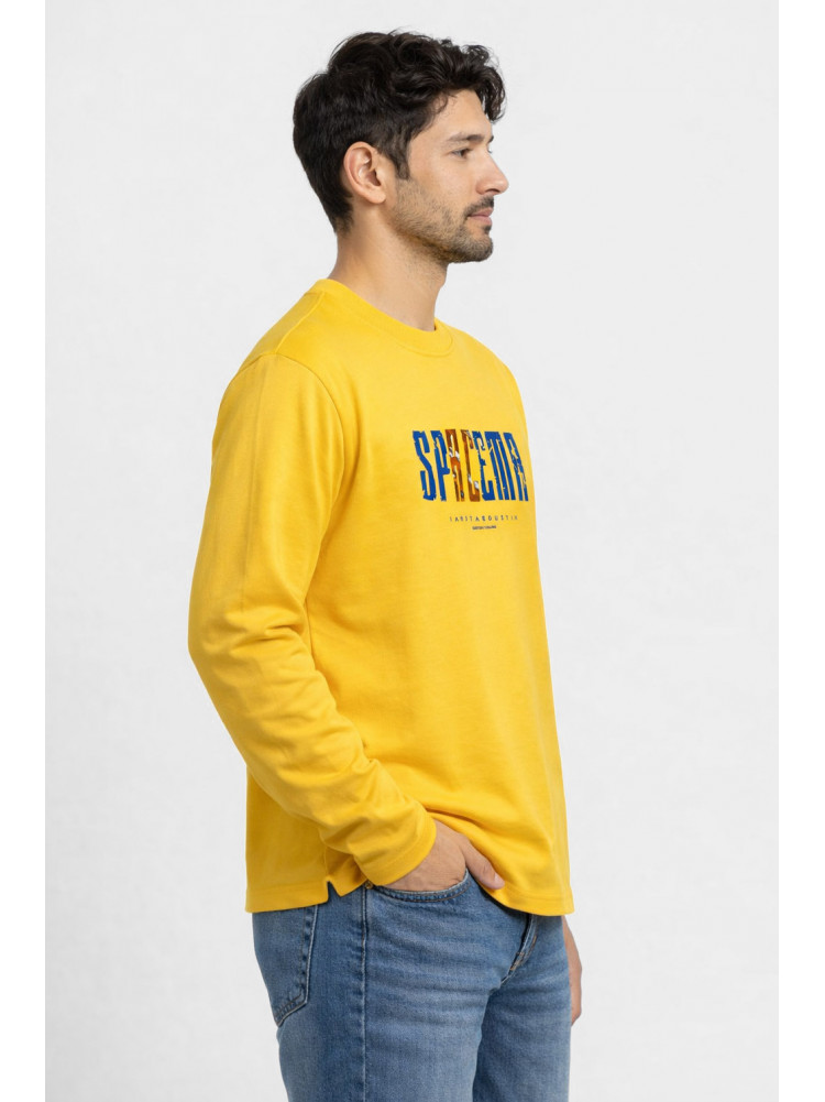 Свитшот мужской желтого цвета с принтом 7712 210634C