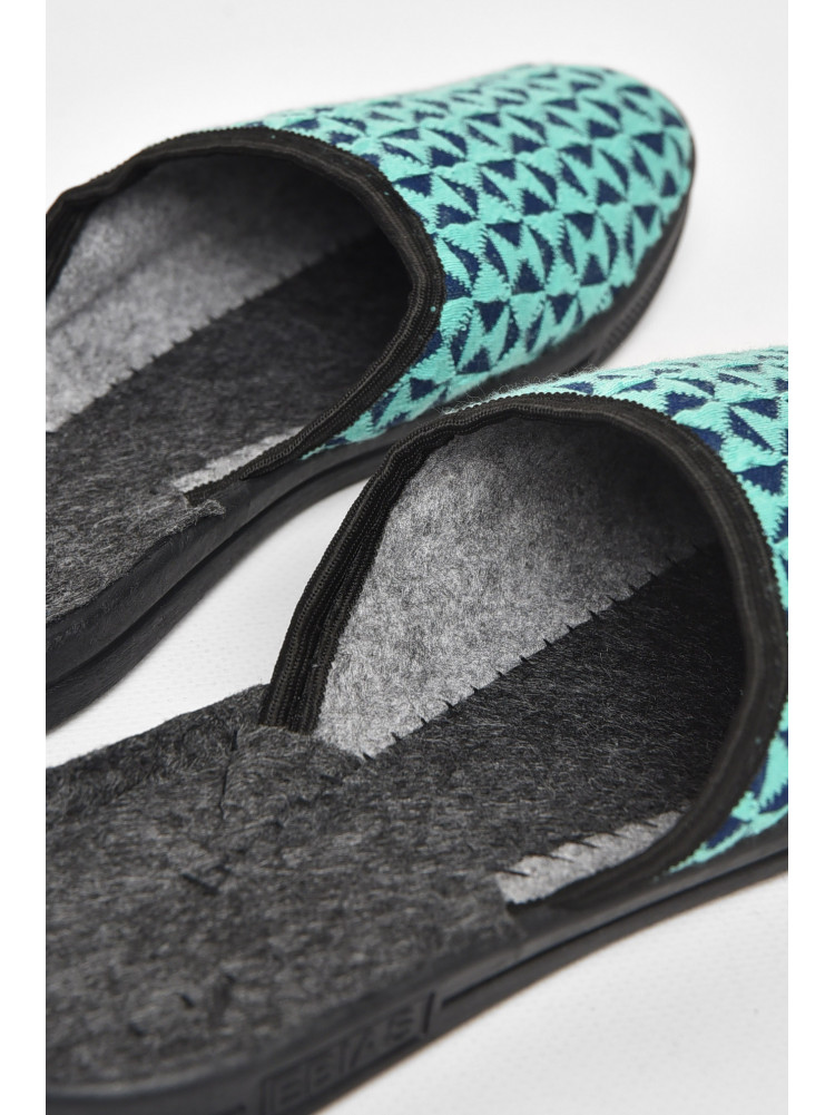 Тапочки женские зеленого цвета Ебіас асорті 211112C