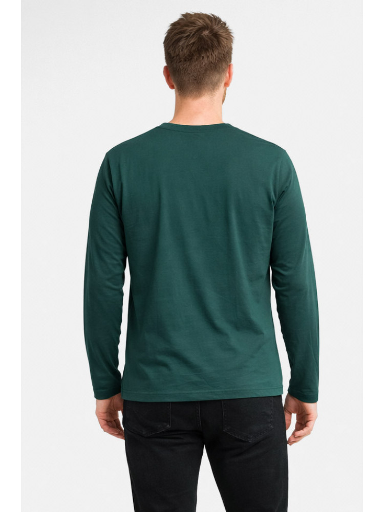 Кофта мужская однотонная зеленого цвета GP105 211226C