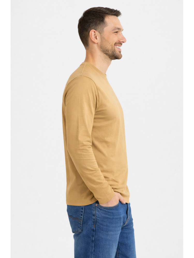 Кофта мужская однотонная бежевого цвета GP105 211229C