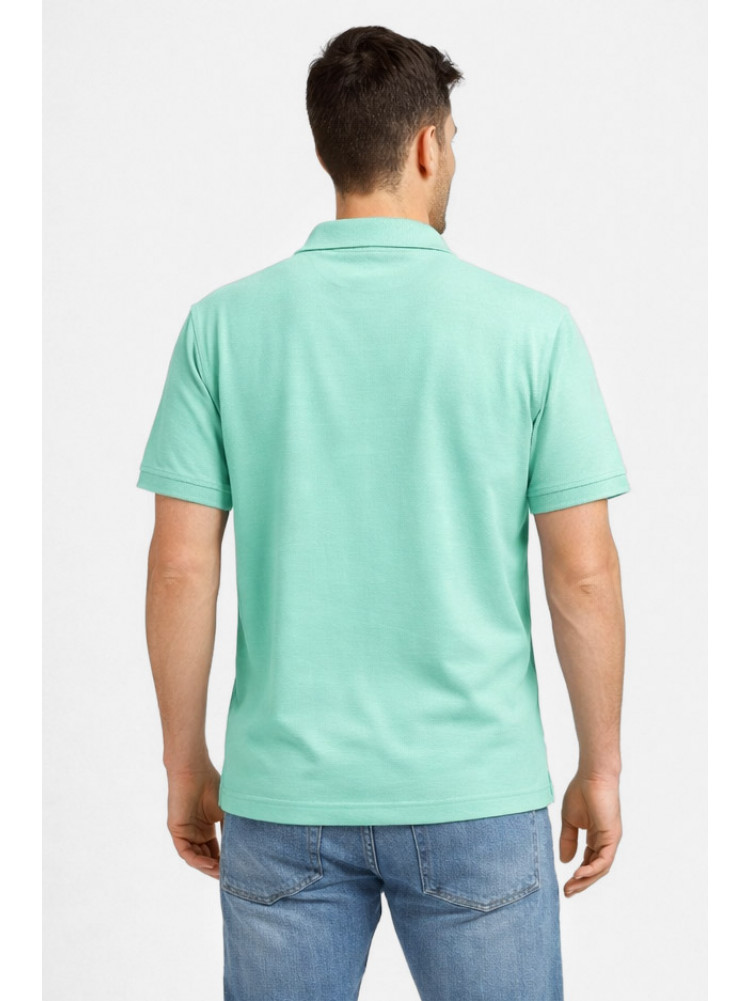Футболка чоловіча однотонна м'ятного кольору 211392C