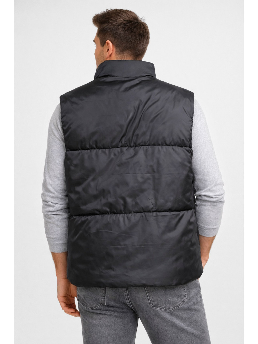 Жилетка мужская демисезонная черного цвета b-1 211400C