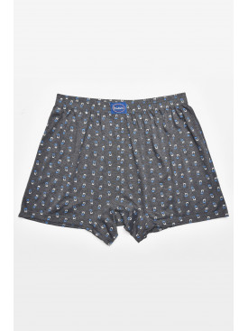 Трусы семейные мужские  серого цвета 312 211411C