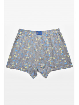 Трусы семейные мужские  серого цвета 312 211412C