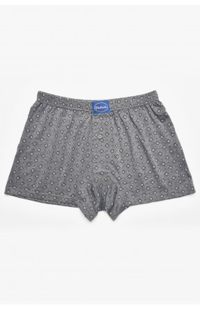 Труси сімейні чоловічі сірого кольору 312 211468C