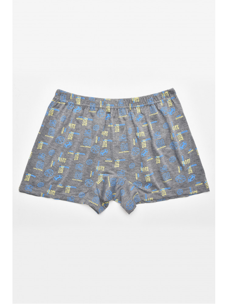 Трусы семейные мужские серого цвета 312 211471C