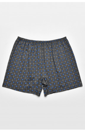 Труси сімейні чоловічі батальні сірого кольору 211501C