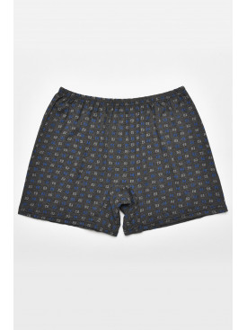 Труси сімейні чоловічі сірого кольору 211550C