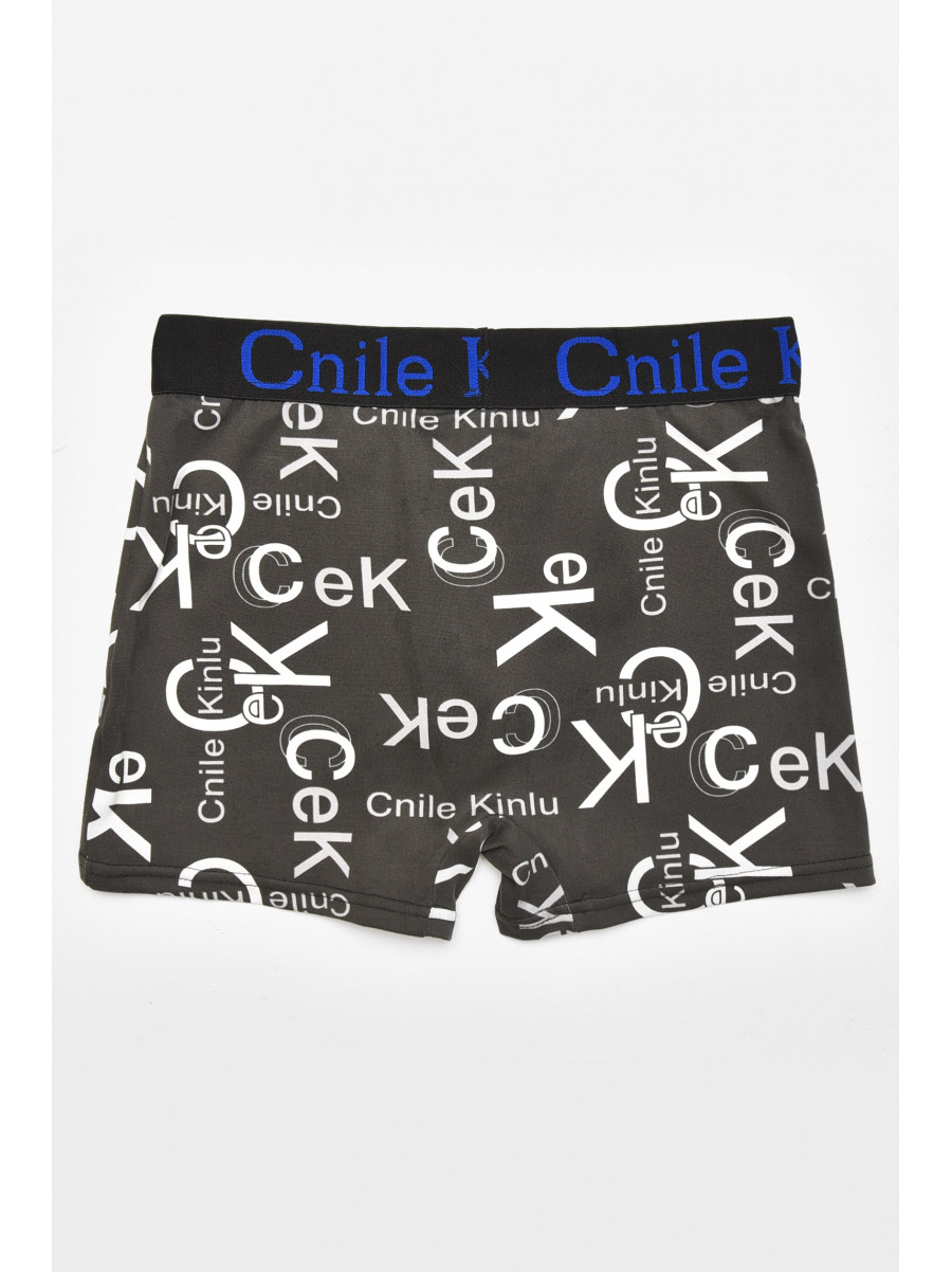 Боксеры мужские тёмно-серого цвета с принтом Z044 211558C