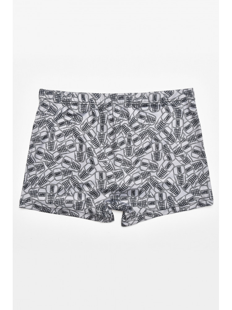 Боксеры мужские серого цвета с принтом DO1879 211568C